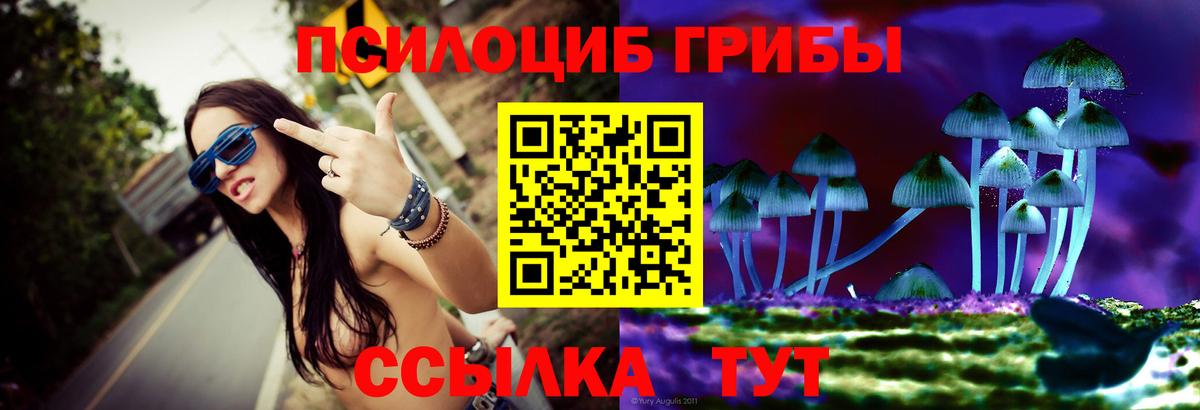 Псилоцибиновые грибы GOLDEN TEACHER  Вход с VPN  Красноперекопск  Псилоцибиновые грибы Magic Shrooms 